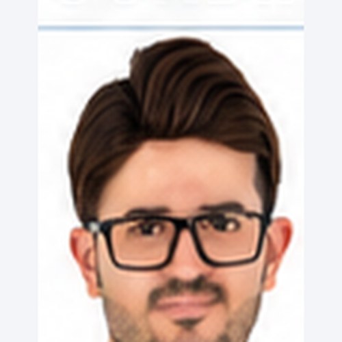Hamzah M. B. Al-Hashemi